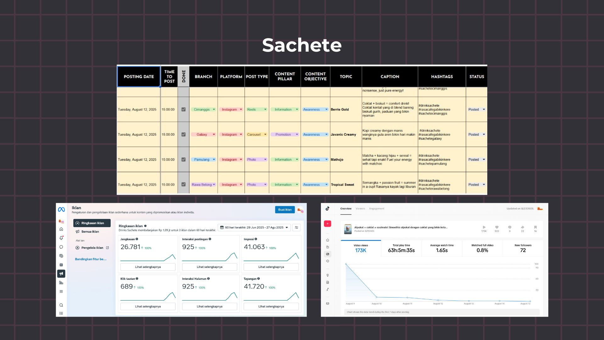 Sachete content calendar, Meta Ads dashboard, and TikTok analytics managed by SVA Network